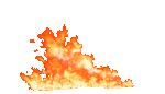 Jungle devastation